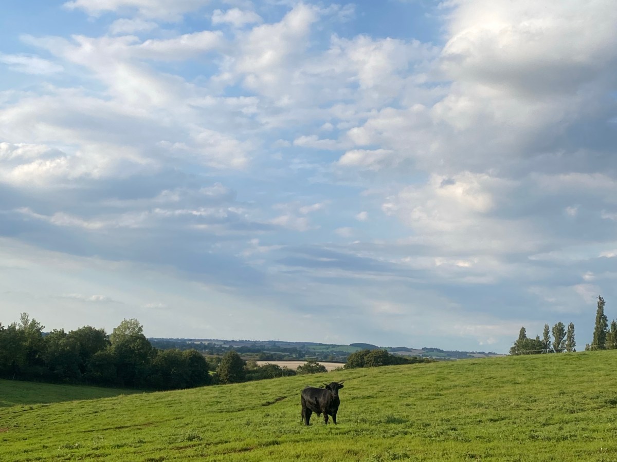 Future career planning