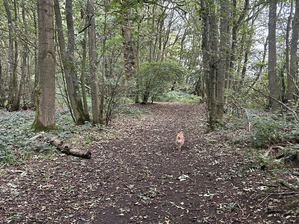 Alternative career choices